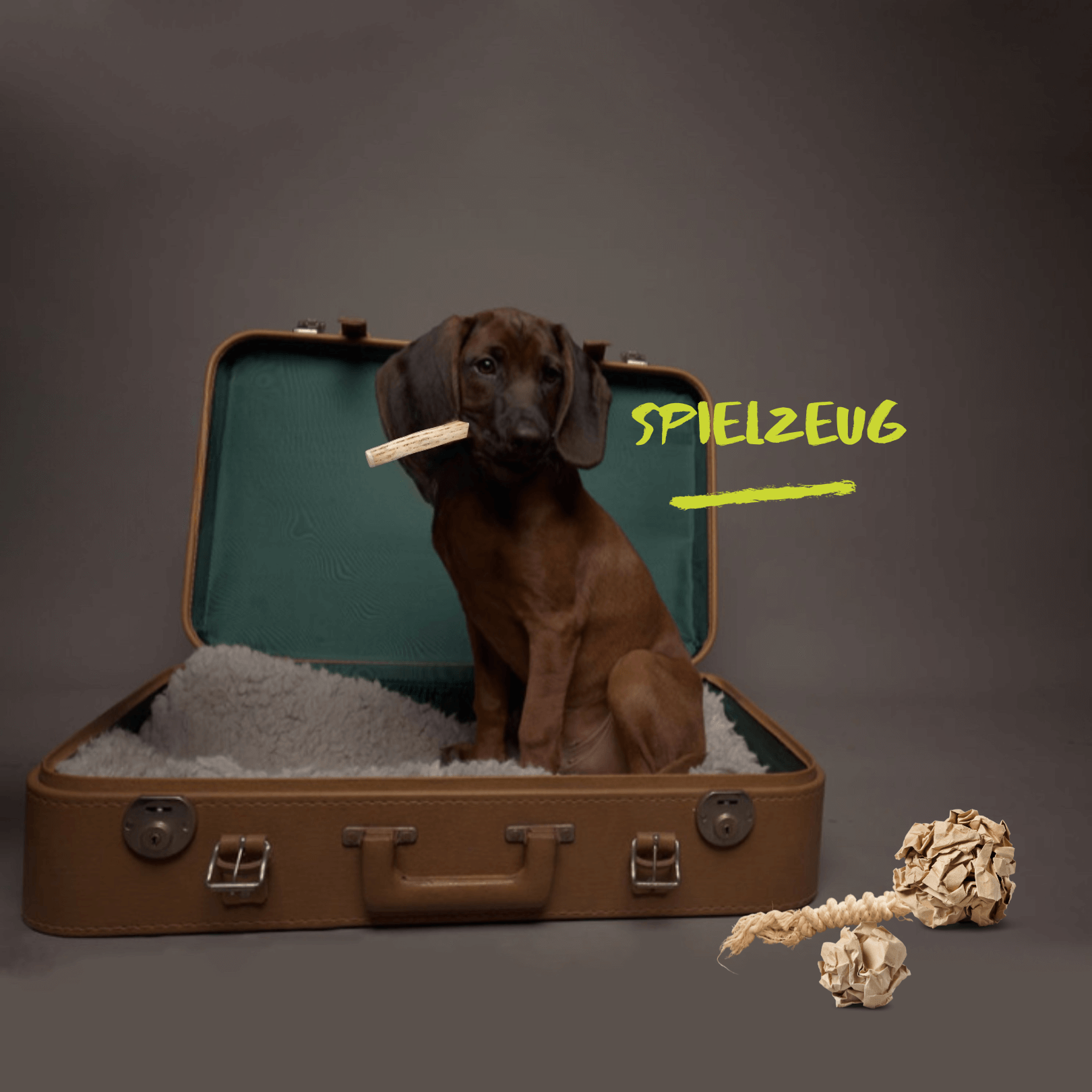 Hundespielzeug - LUIS & LEON