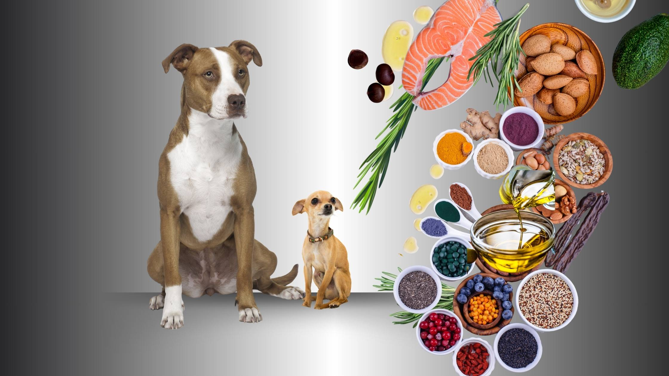 Nahrungsergänzung - LUIS & LEON