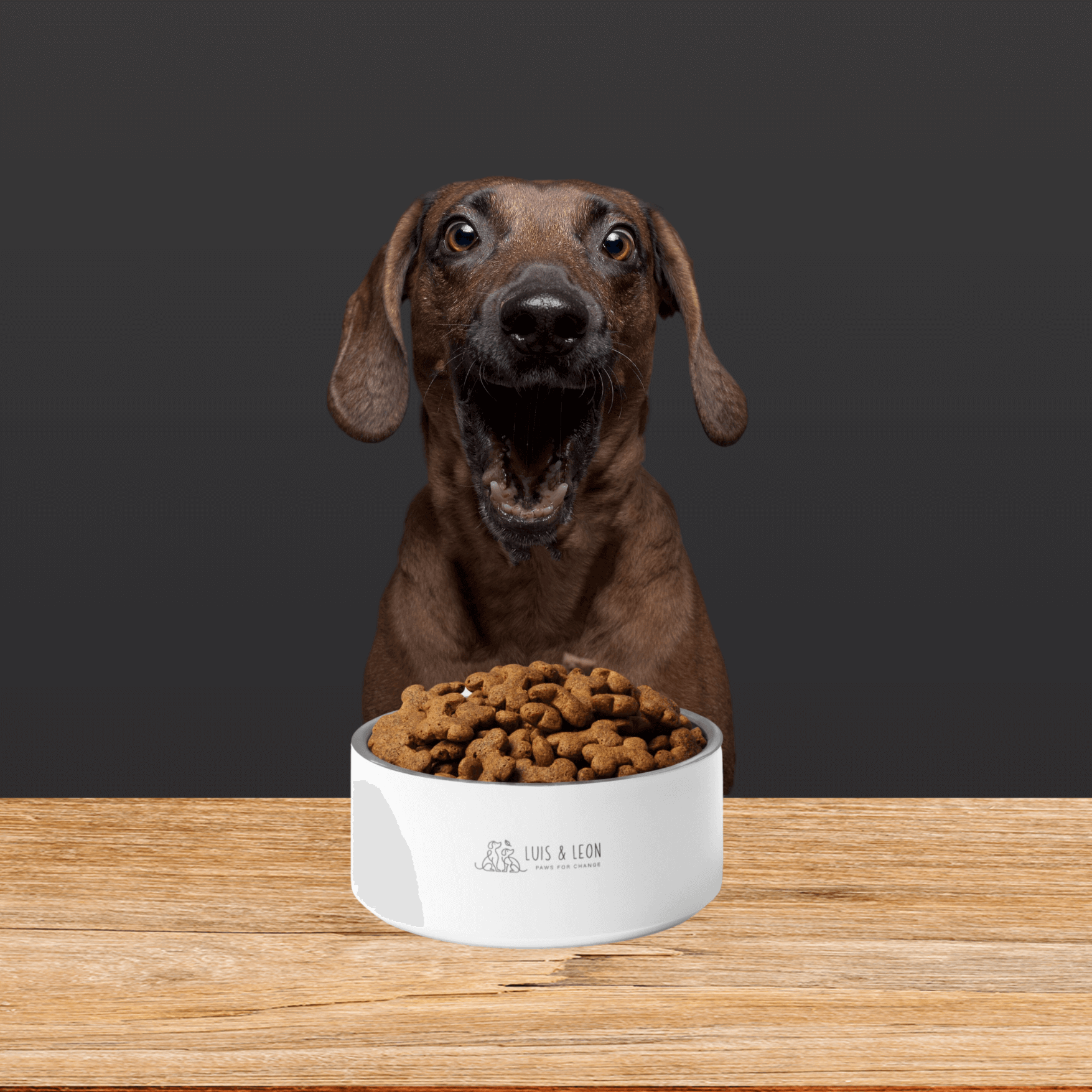 Näpfe - LUIS & LEON