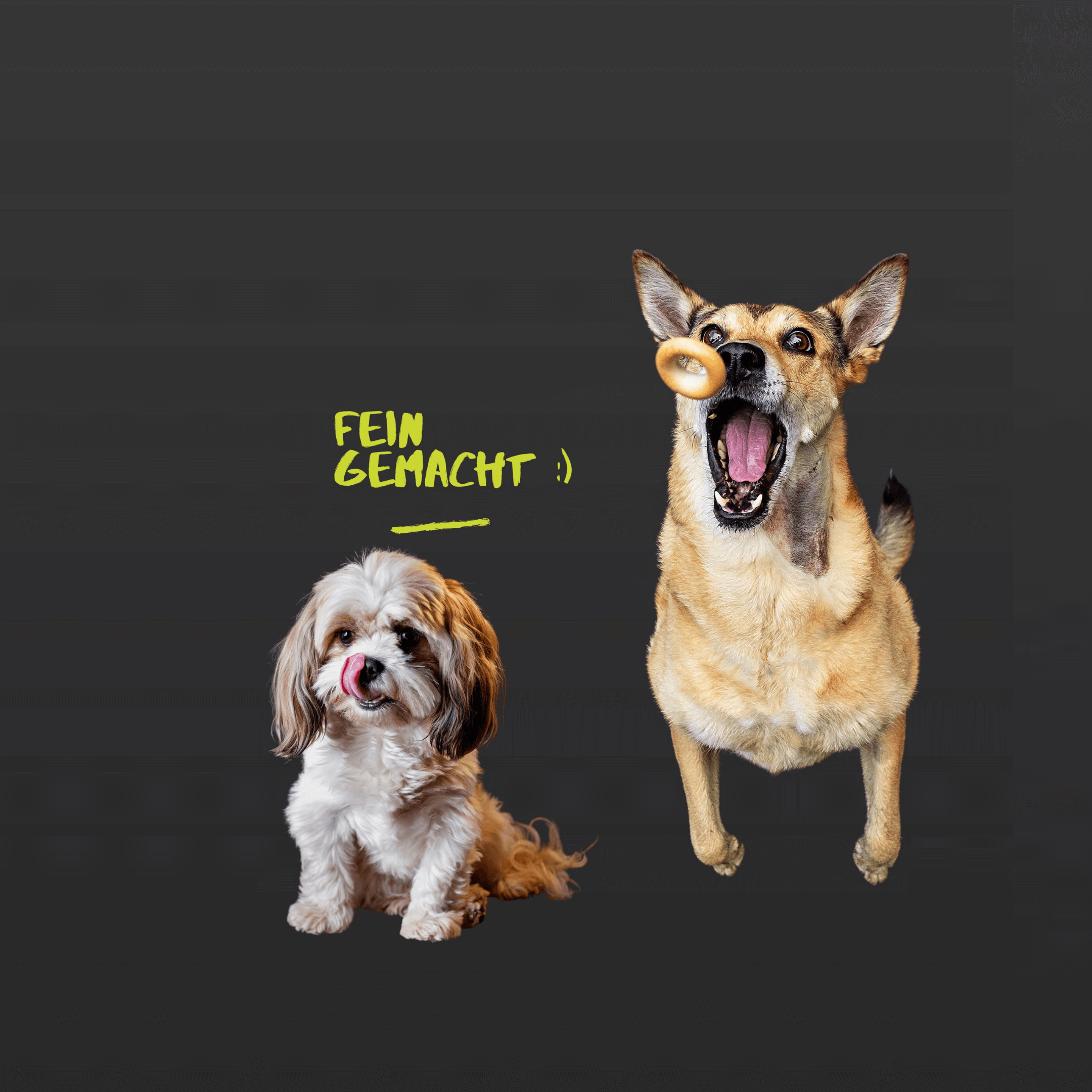 Snacks & Leckerli - LUIS & LEON