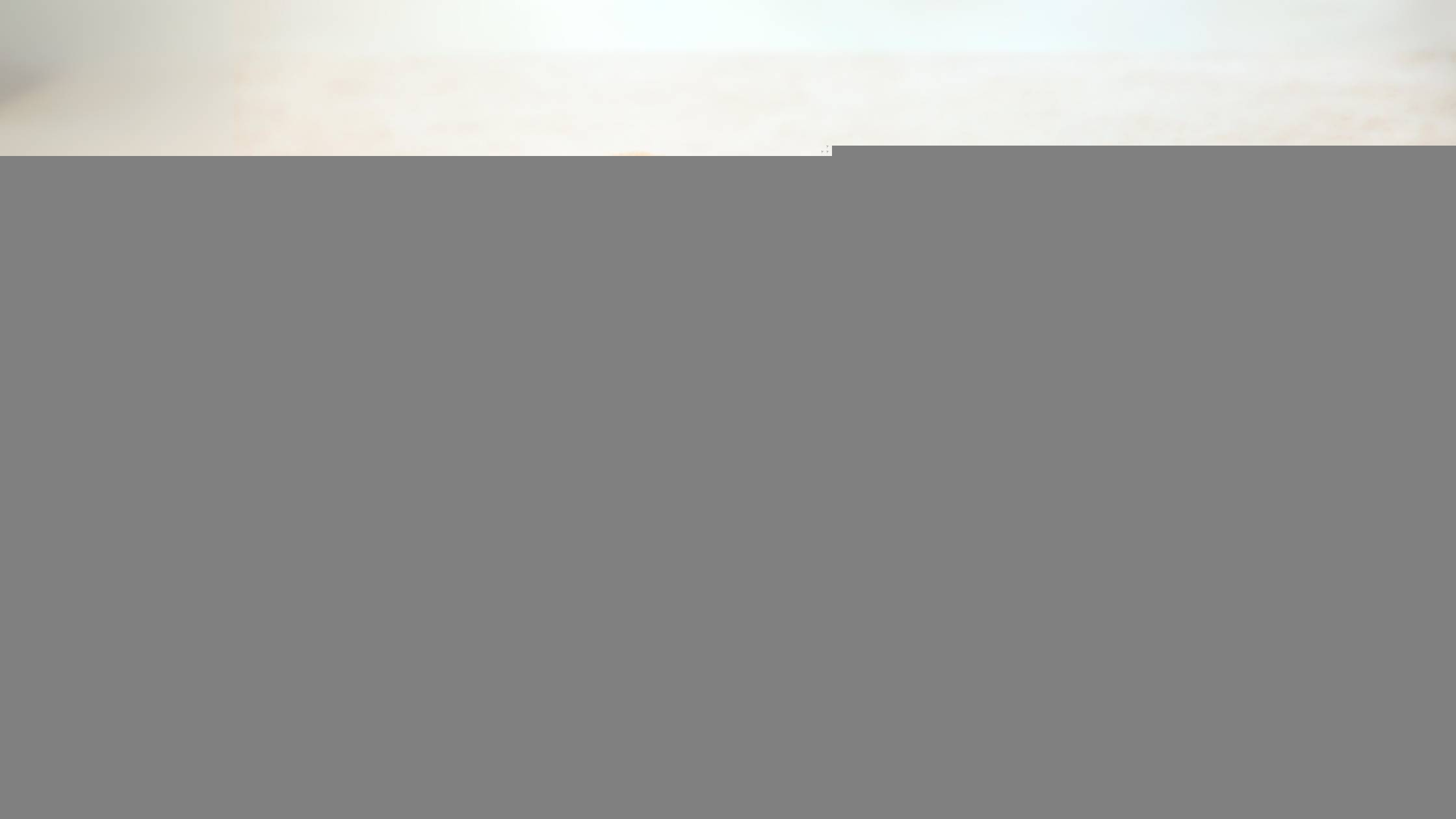 Vegane & Vegetarische Snacks - Hund beißt in eine Pflanze