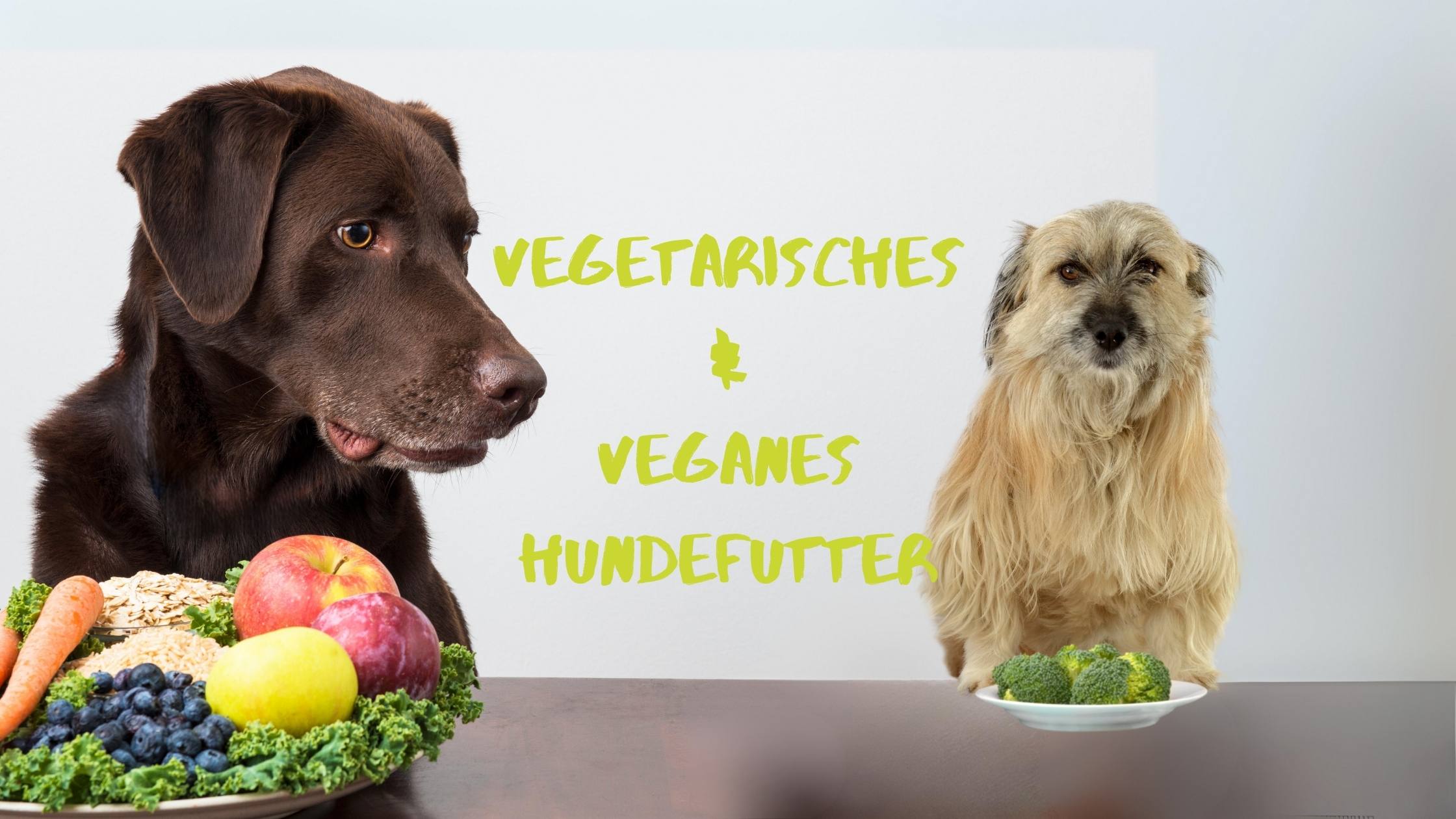 Vegetarisches & Veganes Hundefutter - LUIS & LEON