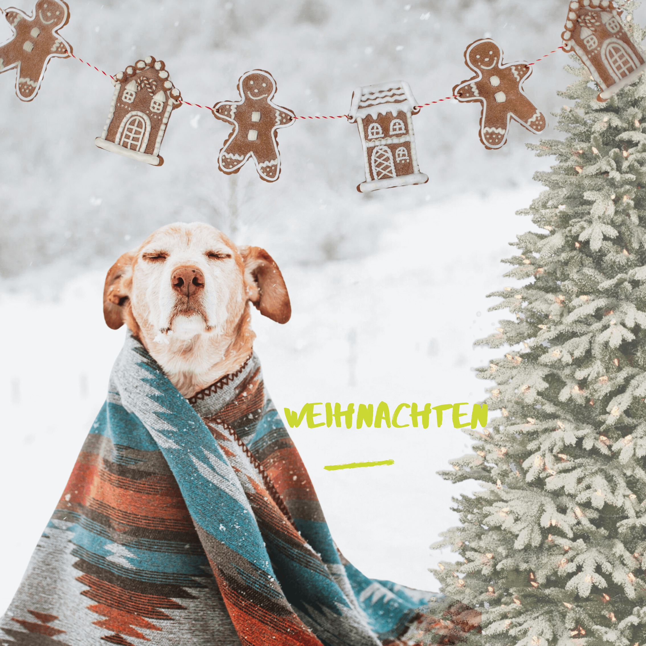 Weihnachten - LUIS & LEON