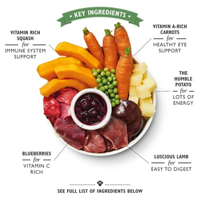 LILY'S KITCHEN Lamb Hotpot - Nassfutter mit Lamm, Getreidefrei - LUIS & LEON