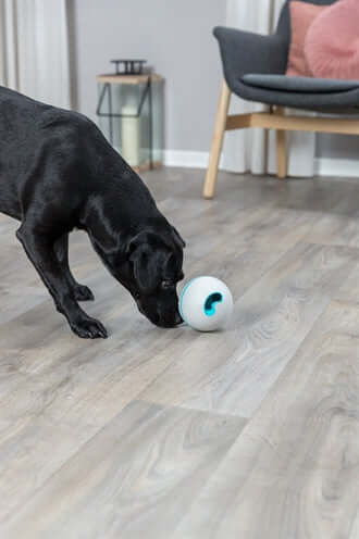 Trixie Snackball - Intelligenzspiel für Hunde, aus TPR, Grau - LUIS & LEON