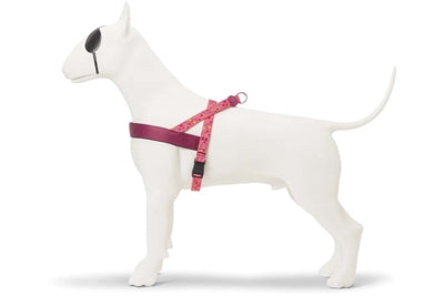 Morso PINK THINK Norwegian harness - Norwegergeschirr - LUIS & LEON