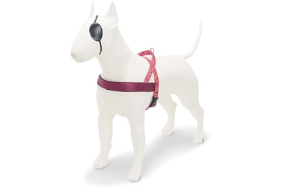 Morso PINK THINK Norwegian harness - Norwegergeschirr - LUIS & LEON
