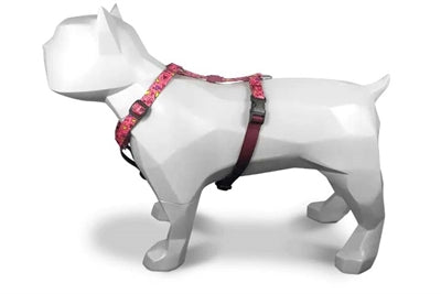 Morso PINK THINK H-Dog-Harness - H-Hundegeschirr - LUIS & LEON