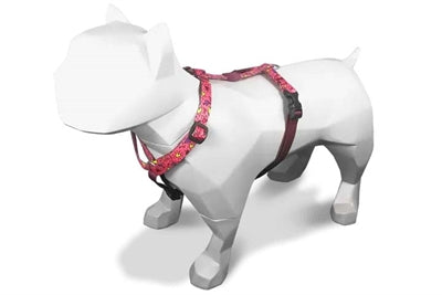 Morso PINK THINK H-Dog-Harness - H-Hundegeschirr - LUIS & LEON