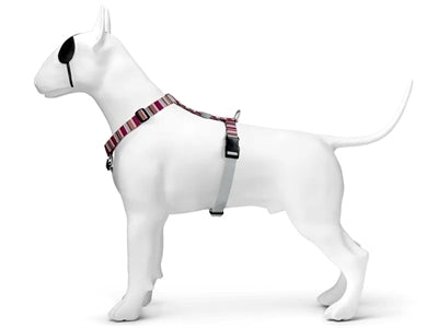 Morso SKYLINE H-Dog-Harness - H-Hundegeschirr - LUIS & LEON