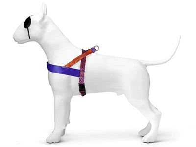 Morso URBAN LIZARD Norwegian Harness - Norwegergeschirr - LUIS & LEON