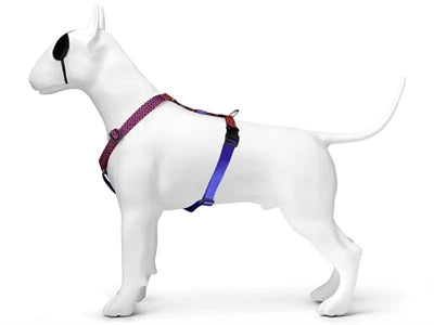 Morso URBAN LIZARD H-Dog-Harness - H-Hundegeschirr - LUIS & LEON