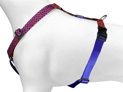 Morso URBAN LIZARD H-Dog-Harness - H-Hundegeschirr - LUIS & LEON
