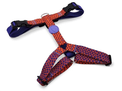 Morso URBAN LIZARD H-Dog-Harness - H-Hundegeschirr - LUIS & LEON