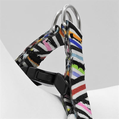 Morso SPAGHETTI INCIDENT Adjustable Mini - Hundegeschirr Mini verstellbar - LUIS & LEON