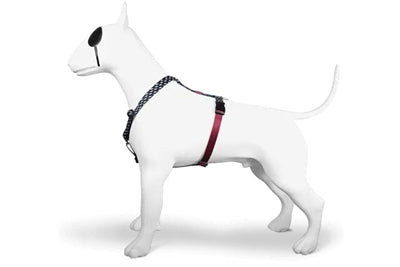 Morso POWER FLOW H-Dog-Harness - H-Hundegeschirr - LUIS & LEON