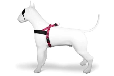 Morso BUBBLE LEO Norwegian Harness - Norwegergeschirr - LUIS & LEON