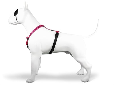 Morso BUBBLE LEO H-Dog-Harness - H-Hundegeschirr - LUIS & LEON