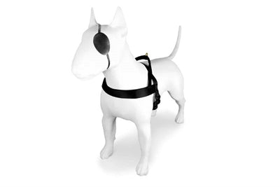 Morso GOLD CAVIAR Norwegian Harness - Norwegergeschirr - LUIS & LEON