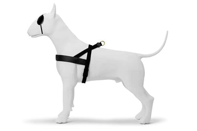 Morso GOLD CAVIAR Norwegian Harness - Norwegergeschirr - LUIS & LEON