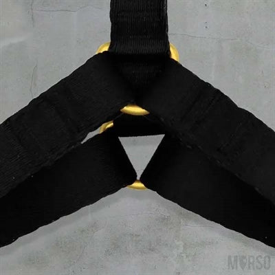 Morso GOLD CAVIAR H-Dog-Harness - H-Hundegeschirr - LUIS & LEON