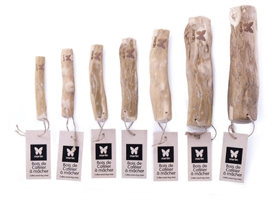 Martin Kauwurzel Kaffeebaum - Zahnreinigung - LUIS & LEON