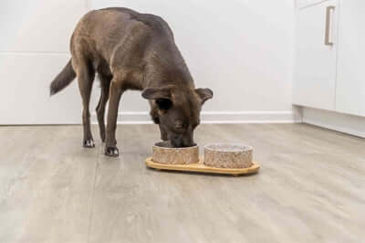 Trixie Napf-Set, Keramik/Bambus - Futterstation - LUIS & LEON