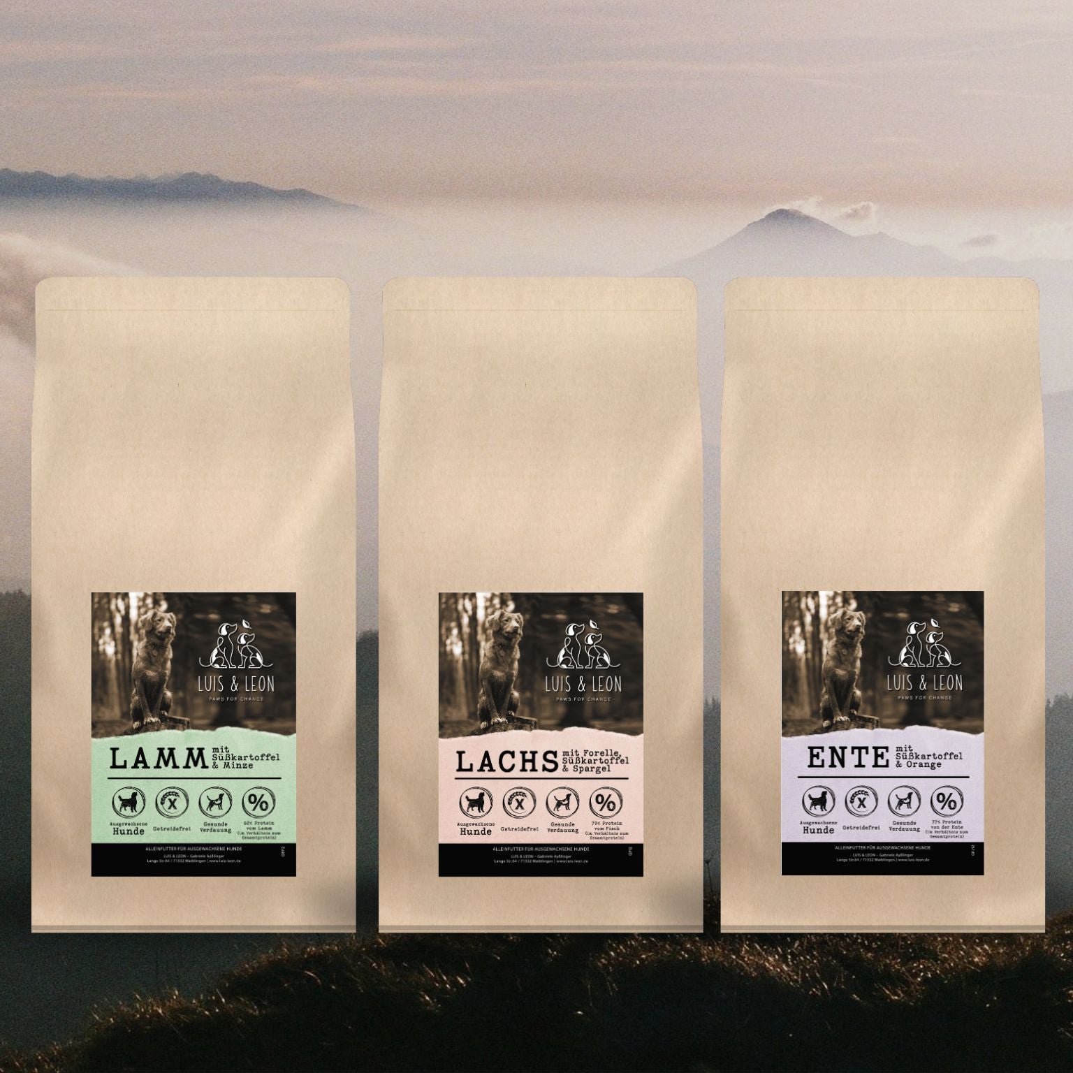 Gesundes Trockenfutter (brauner Beutel) Lamm, Lachs und Ente