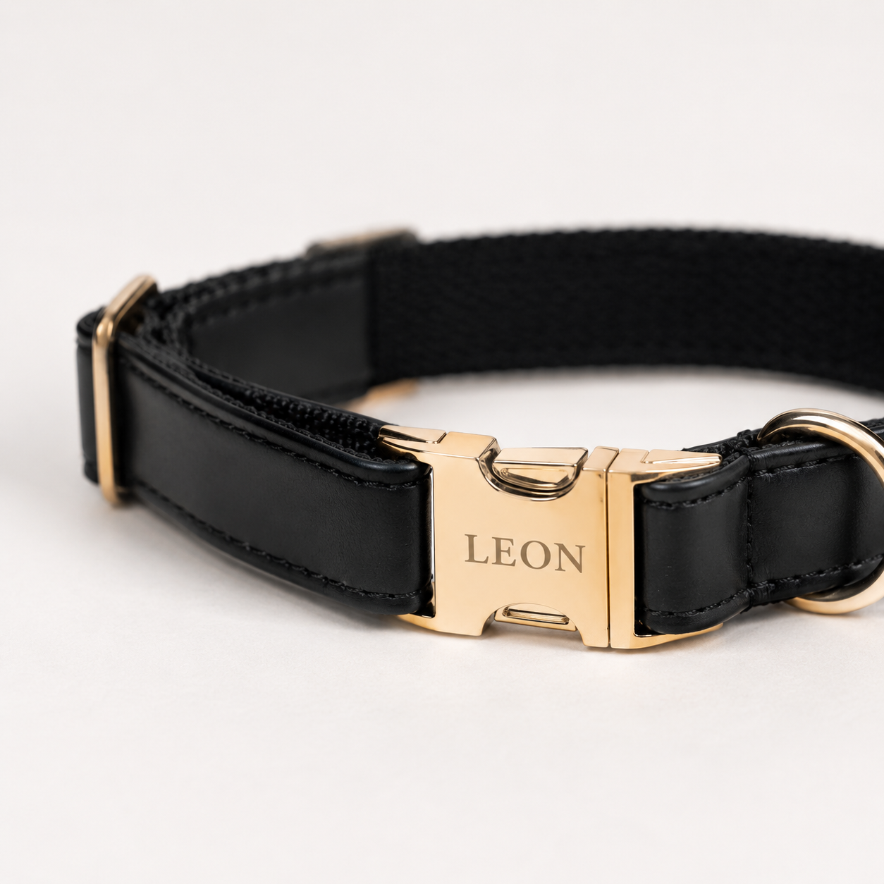 Personalisiertes Hundehalsband Kunstleder – Gold