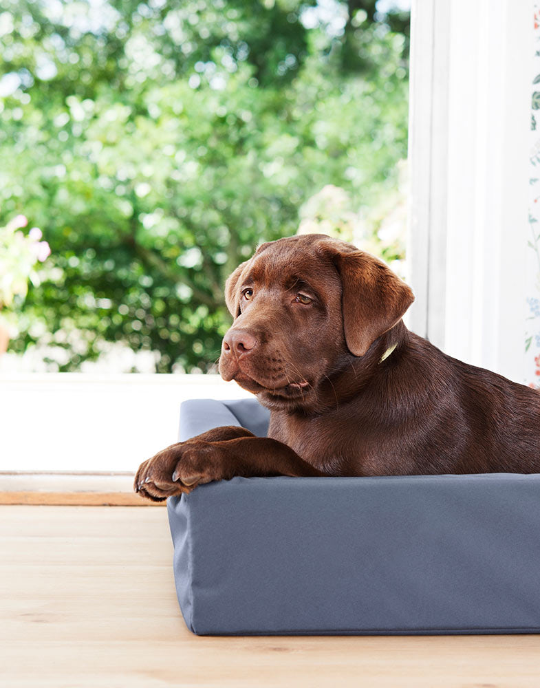 Bia Bed Original Hundebett mit erhöhtem Rand – Outdoor Hundebett blau