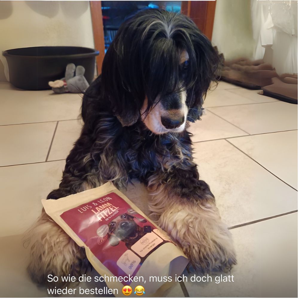Schwarzer Hund entspannt mit Luis & Leon Lamm Fitzel-Leckerlis