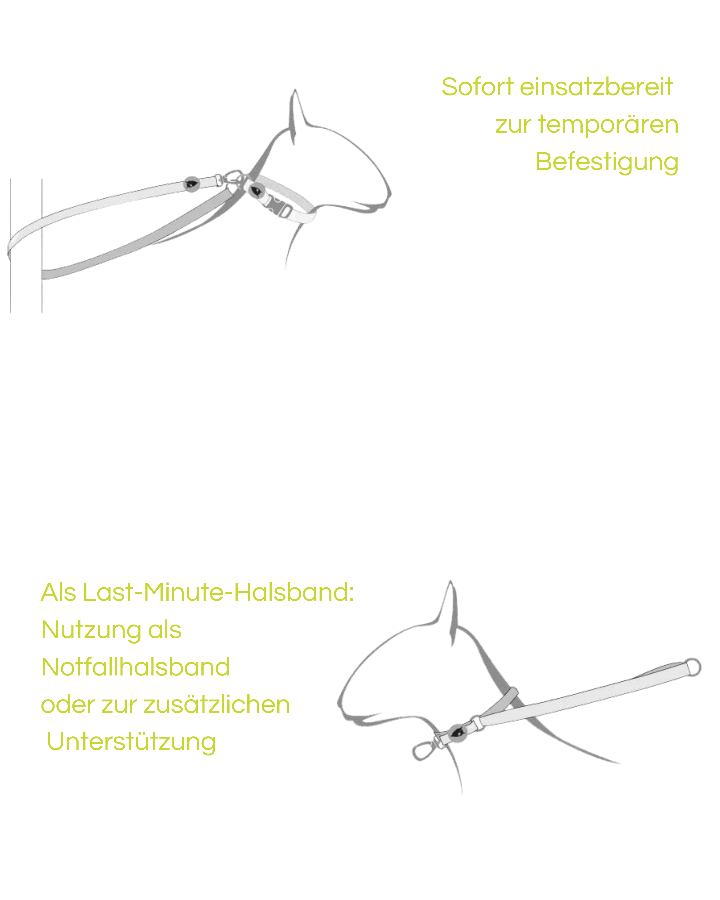 Morso - LIPSTICK Multifunktions-Hundeleine - recyceltes PET - LUIS & LEON