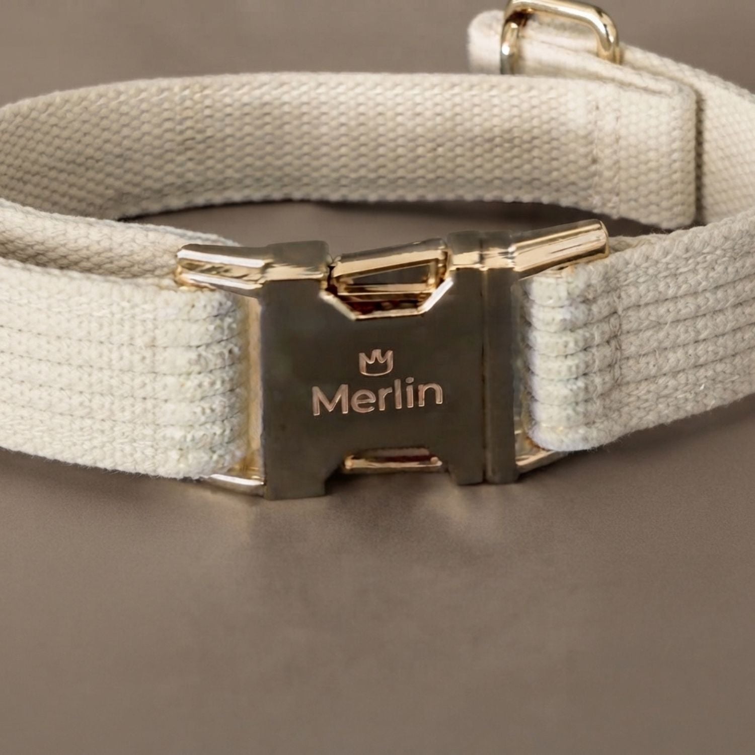 LUIS & LEON Personalisiertes Hundehalsband mit Name – Kordsamt & Gold
