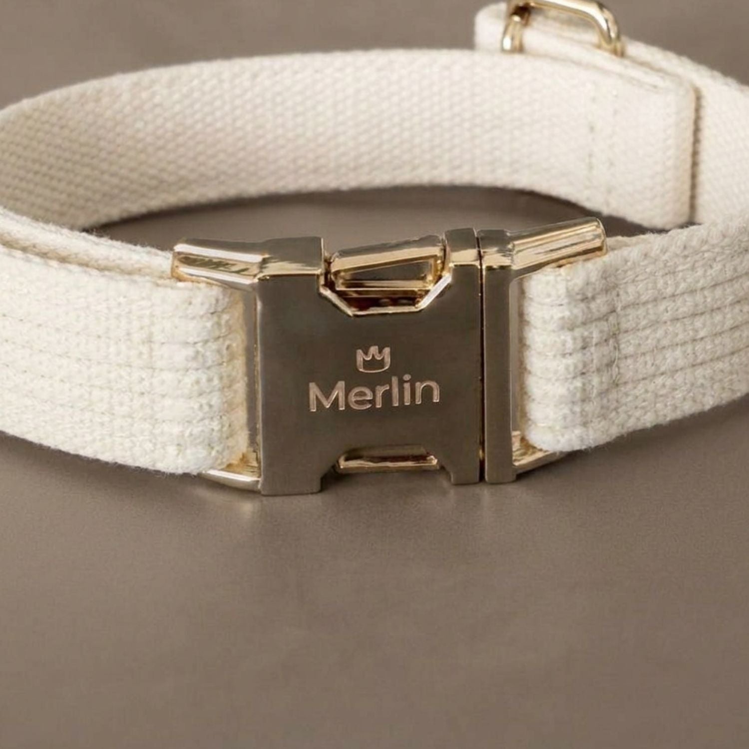 Personalisiertes Hundehalsband Kordsamt – Gold