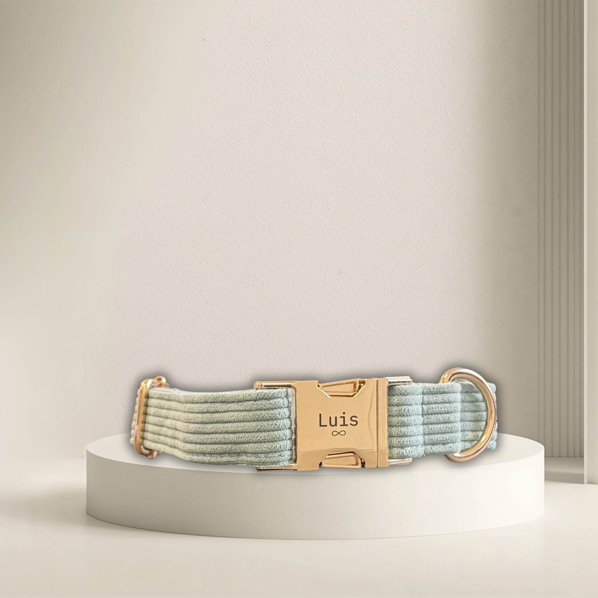 LUIS & LEON Personalisiertes Hundehalsband mit Name – Kordsamt & Gold