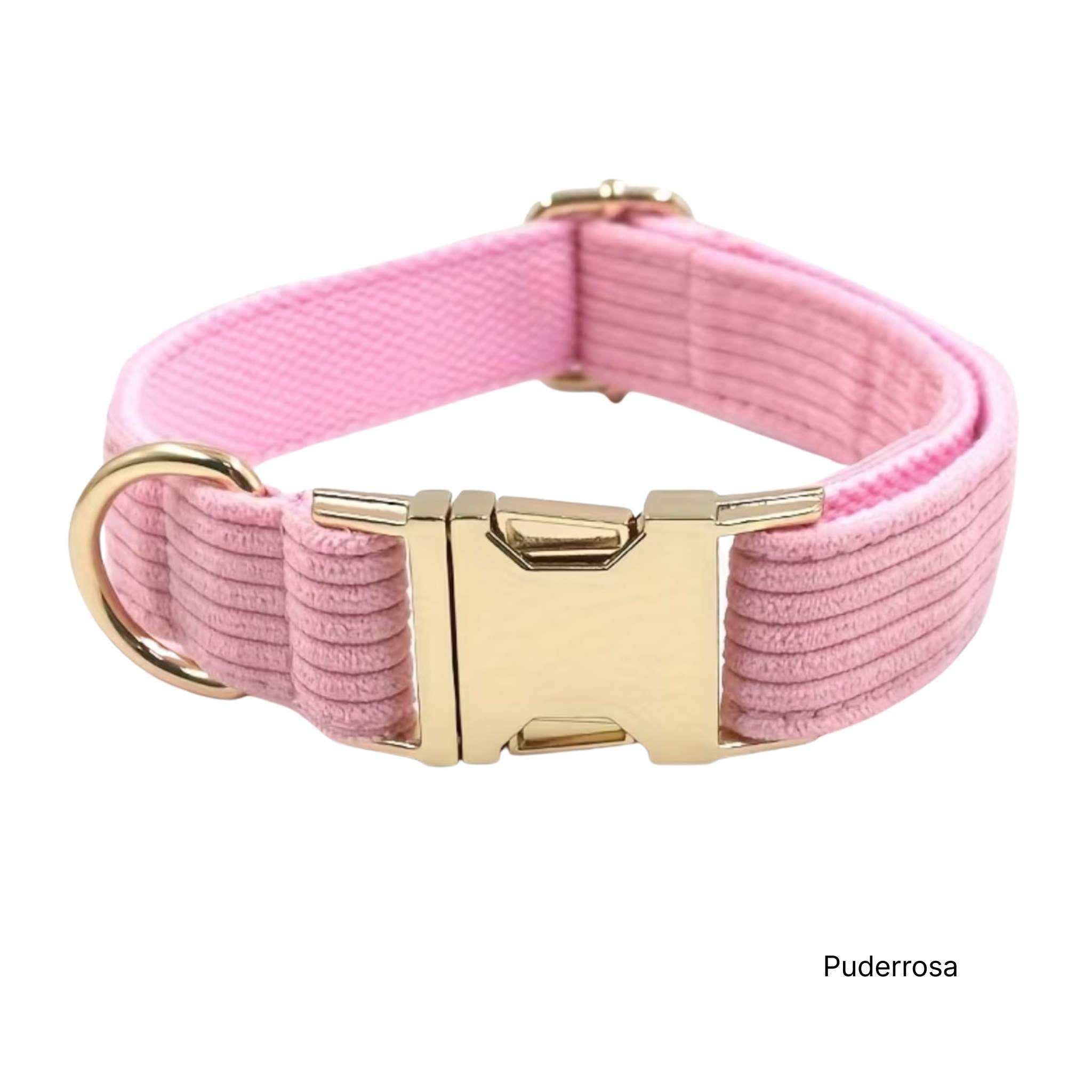 LUIS & LEON Personalisiertes Hundehalsband mit Name – Kordsamt & Gold