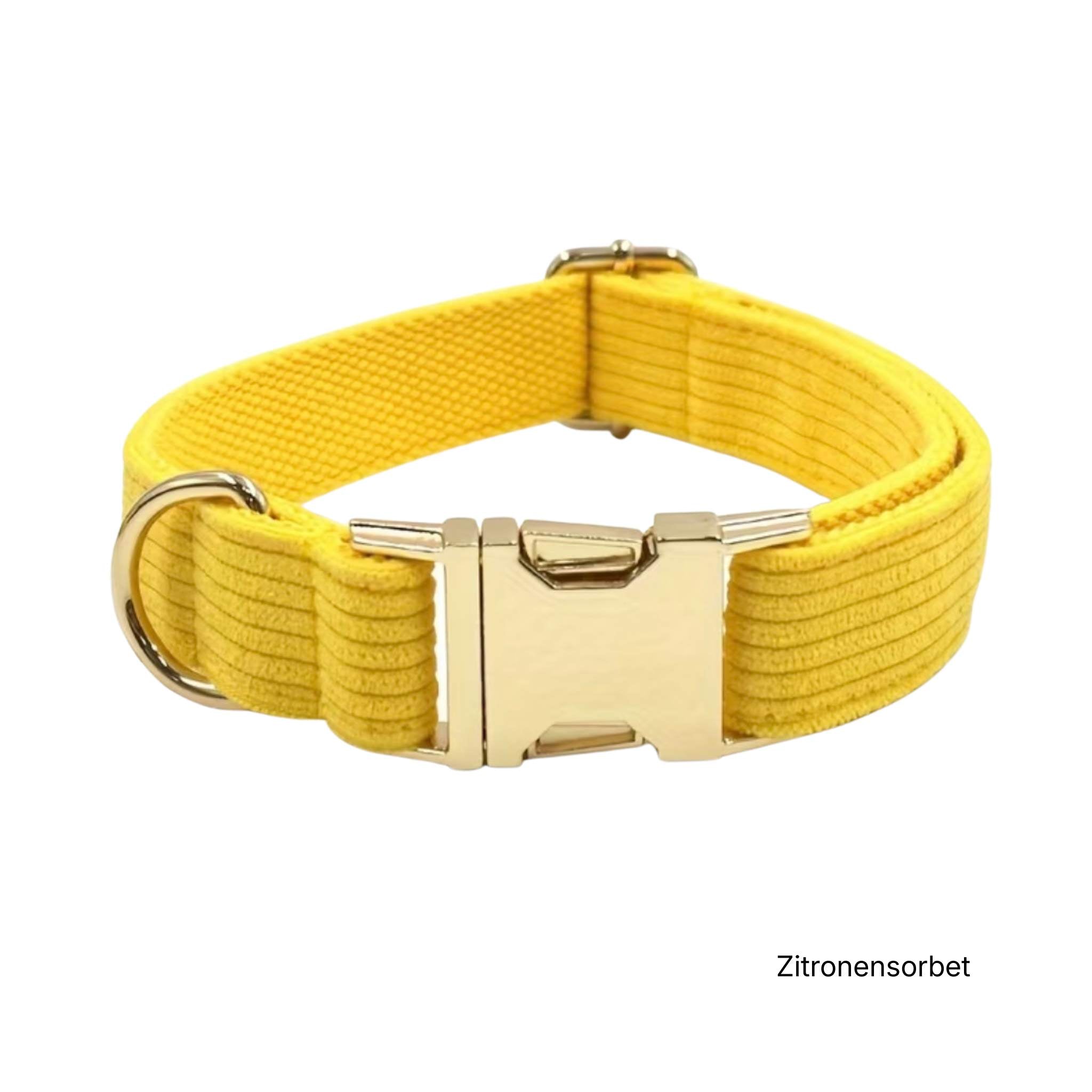 LUIS & LEON Personalisiertes Hundehalsband mit Name – Kordsamt & Gold