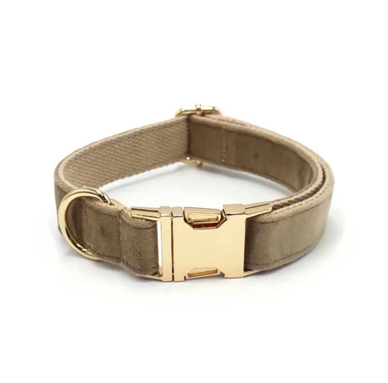 Personalisiertes Hundehalsband mit Name – Samt & Gold | LUIS & LEON