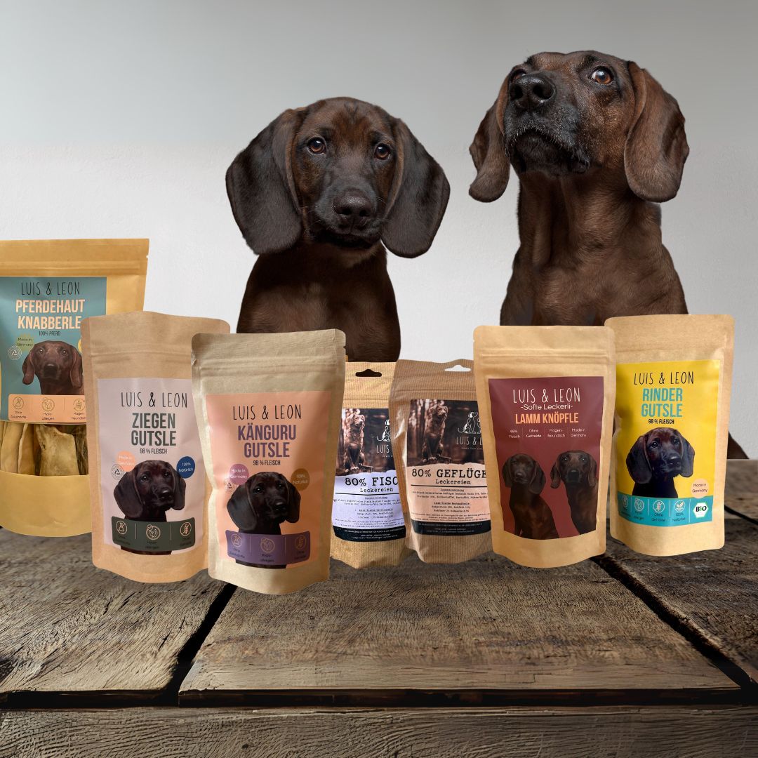 Zwei Bayerische Gebirgsschweißhunde vor Hundeleckerli-Beuteln.