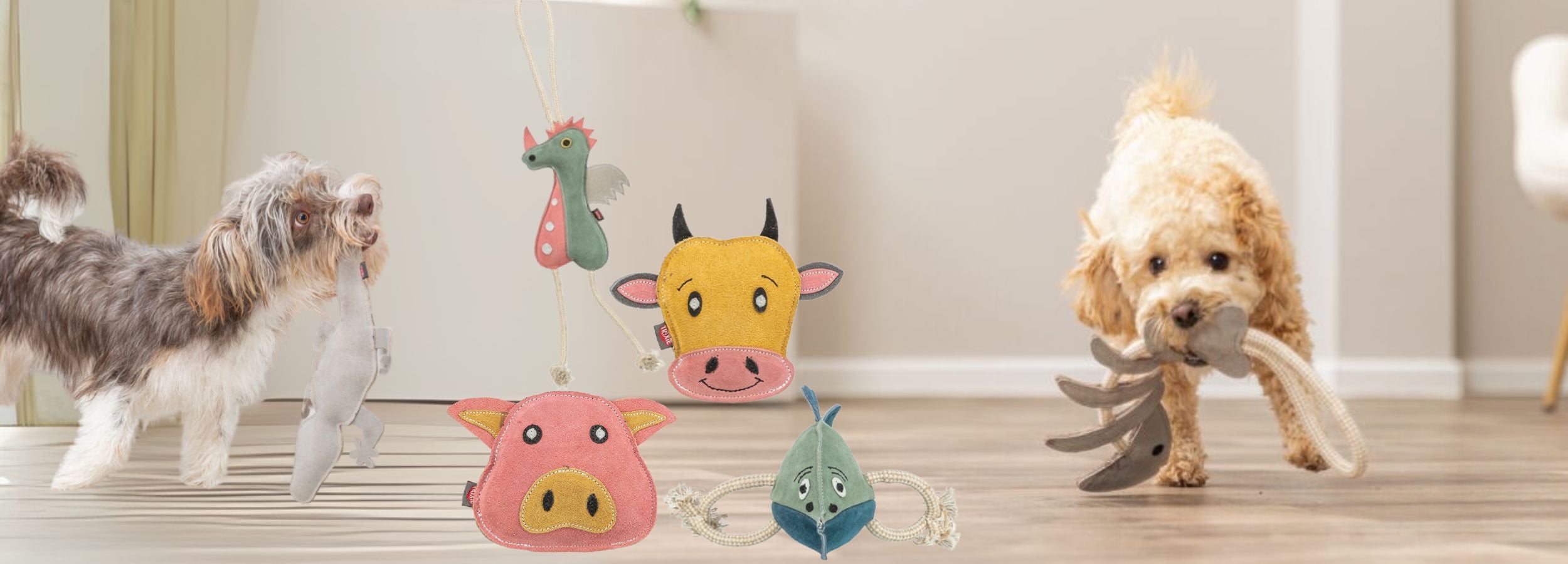 Hunde spielen mit Lederspielzeug: Fisch, Schwein & Dino.