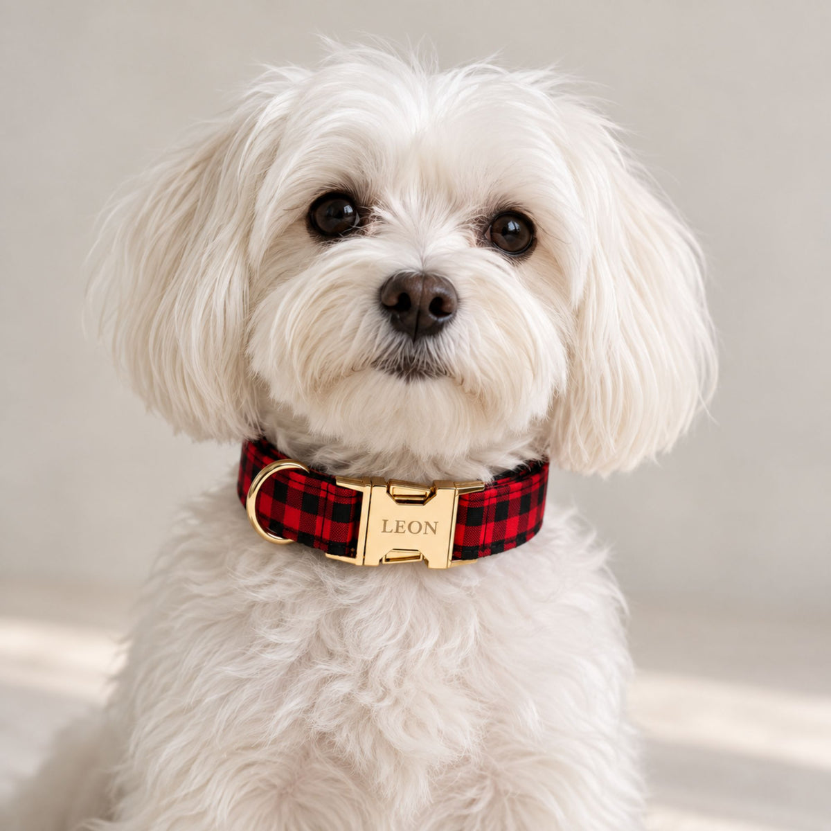 Personalisiertes Hundehalsband Karo – Gold