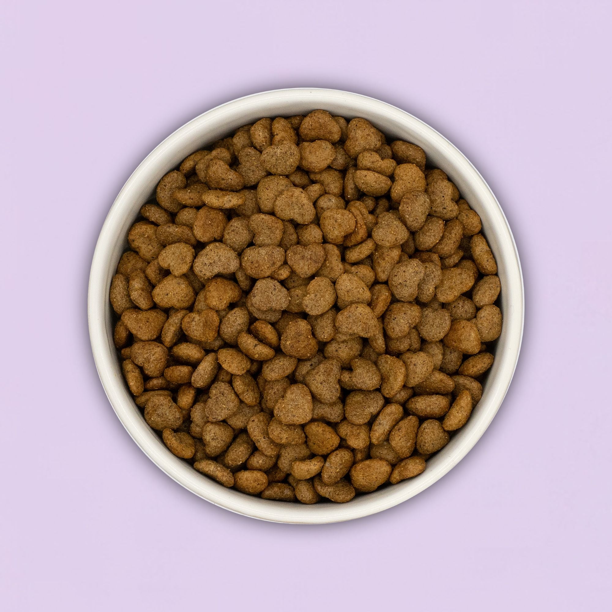 Peptid Trockenfutter für sensible Hunde – Gastrointestinal