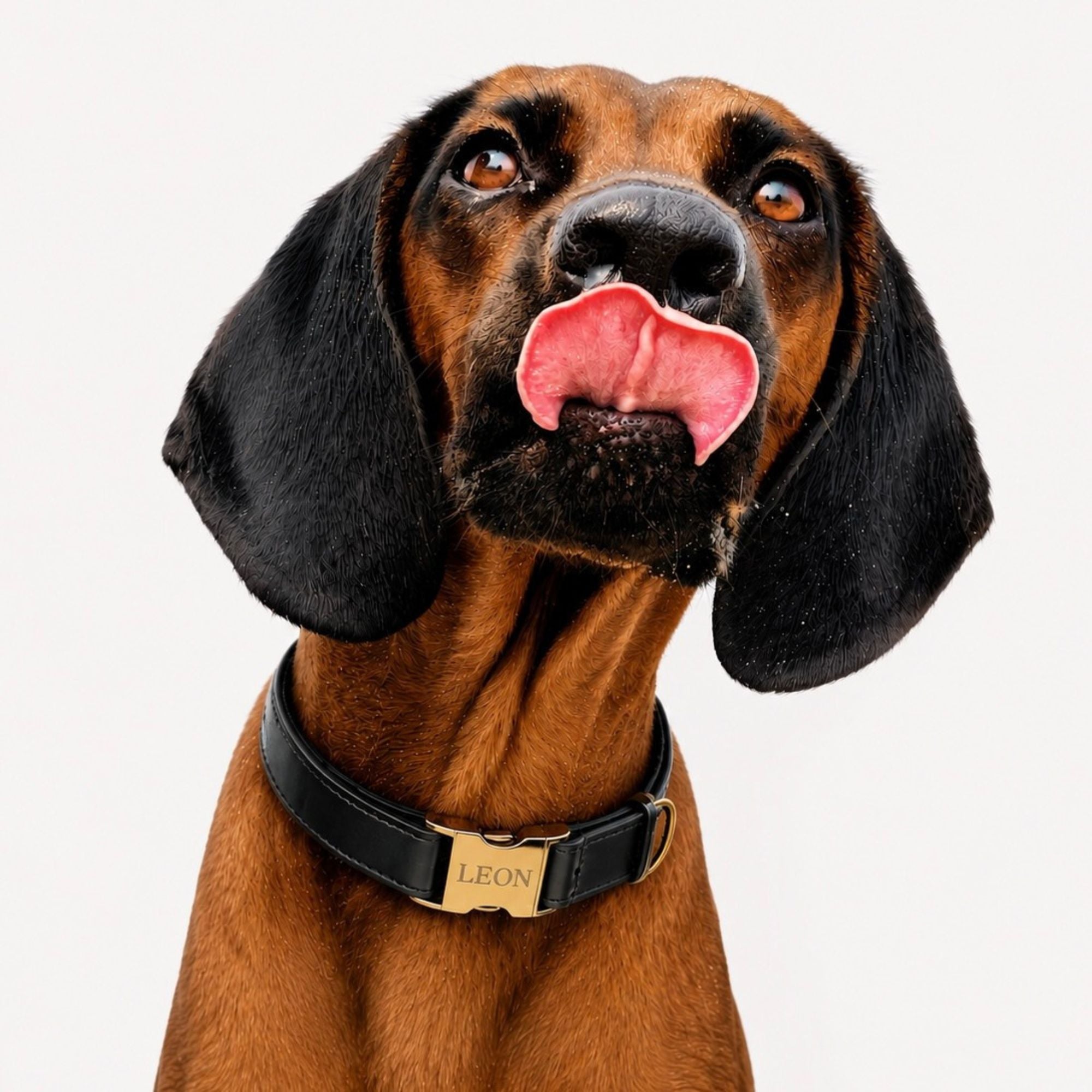 Personalisiertes Hundehalsband Kunstleder – Gold