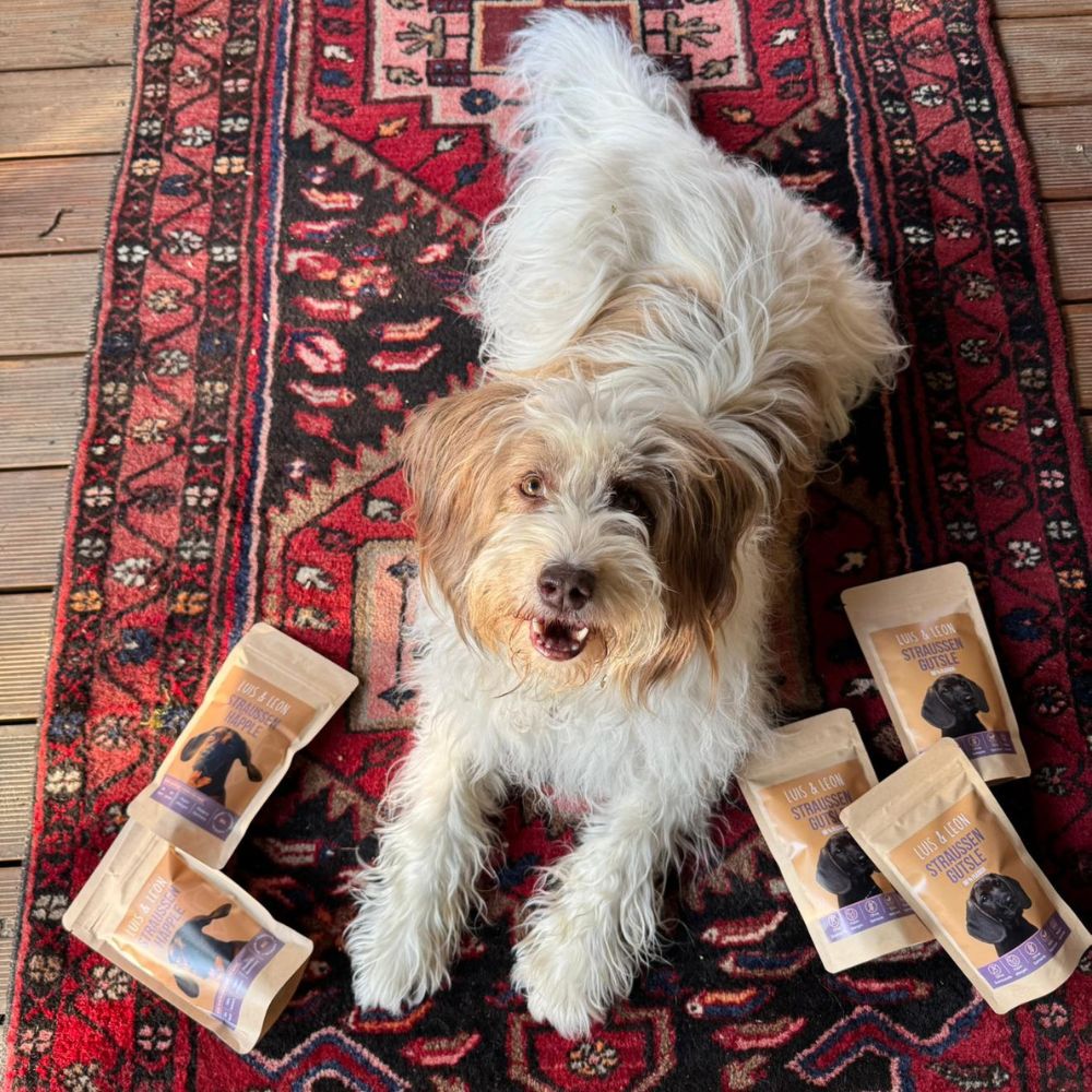 Hund Roxy mit natürlichen Straußen-Hundeleckerlis auf Teppich.
