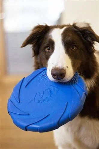 Battersea Foam Flyer Frisbee – Apportier Spielzeug für Hunde - LUIS & LEON