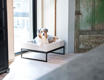Bia Air Bettgestell – ergonomisch, stilvoll und praktisch für dein Bia Hundebett - LUIS & LEON