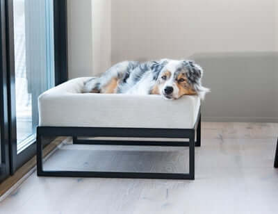 Bia Air Bettgestell – ergonomisch, stilvoll und praktisch für dein Bia Hundebett - LUIS & LEON