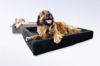 Bia Bed Cover Pilé für Hundebett - Bia Bed Bezug Grau - LUIS & LEON