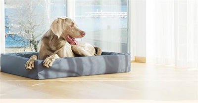 Bia Bed Original Hundebett Grau – zeitloser Schlafplatz für Hunde - LUIS & LEON