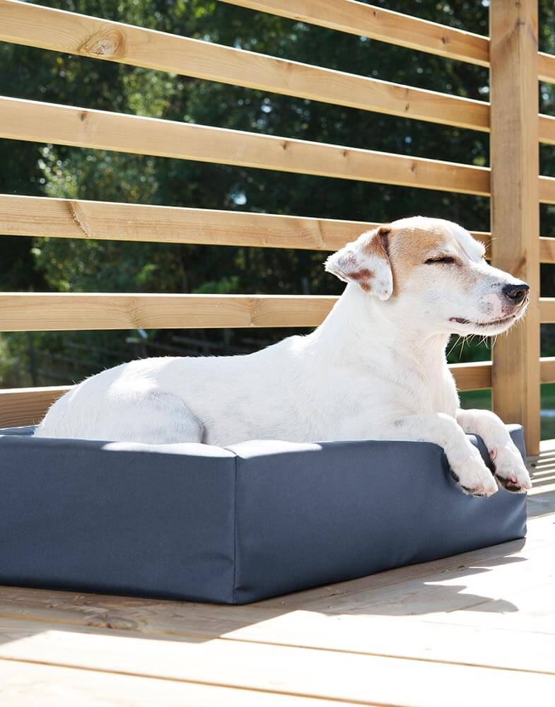 Bia Bed Original Hundebett mit erhöhtem Rand – Outdoor Hundebett blau - LUIS & LEON